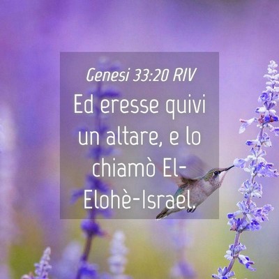 Picture 04 - Genesi 33:20 RIV - Ed eresse quivi un altare, e lo chiamò - Bible Verse Picture
