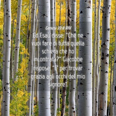 Picture 04 - Genesi 33:8 RIV - Ed Esaù disse: “Che ne vuoi fare di tutta - Bible Verse Picture