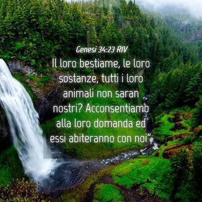 Picture 04 - Genesi 34:23 RIV - Il loro bestiame, le loro sostanze, tutti i loro - Bible Verse Picture
