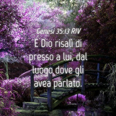 Picture 04 - Genesi 35:13 RIV - E Dio risalì di presso a lui, dal luogo dove gli - Bible Verse Picture