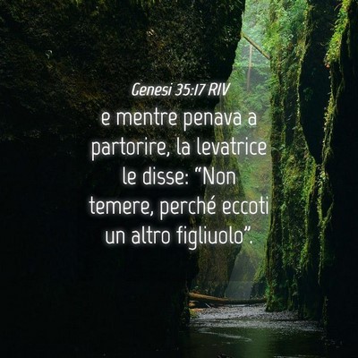 Picture 04 - Genesi 35:17 RIV - e mentre penava a partorire, la levatrice le - Bible Verse Picture