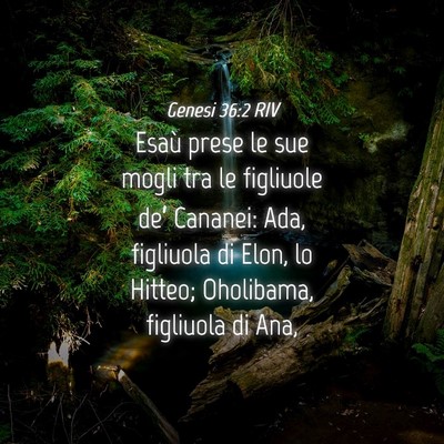 Picture 04 - Genesi 36:2 RIV - Esaù prese le sue mogli tra le figliuole de’ - Bible Verse Picture