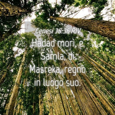 Picture 04 - Genesi 36:36 RIV - Hadad morì, e Samla, di Masreka, regnò in luogo - Bible Verse Picture