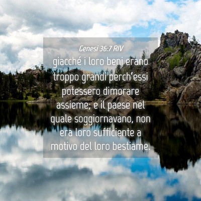 Picture 04 - Genesi 36:7 RIV - giacché i loro beni erano troppo grandi - Bible Verse Picture