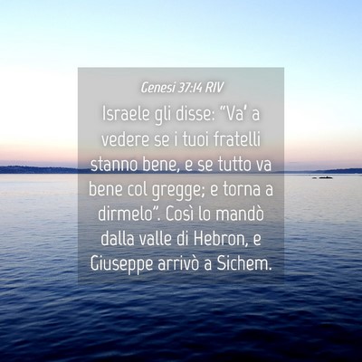 Picture 04 - Genesi 37:14 RIV - Israele gli disse: “Va’ a vedere se i tuoi - Bible Verse Picture