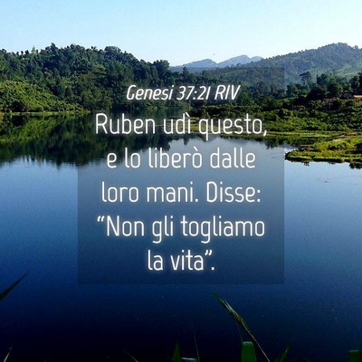 Picture 04 - Genesi 37:21 RIV - Ruben udì questo, e lo liberò dalle loro mani. - Bible Verse Picture