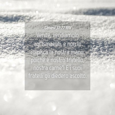 Picture 04 - Genesi 37:27 RIV - Venite, vendiamolo agl’Ismaeliti, e non lo - Bible Verse Picture