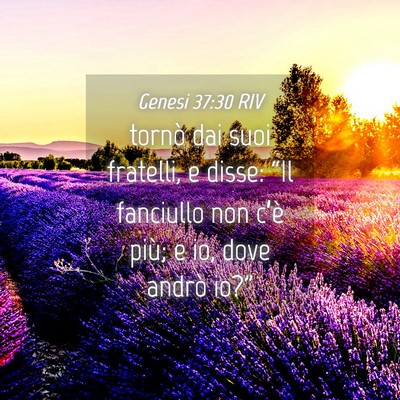 Picture 04 - Genesi 37:30 RIV - tornò dai suoi fratelli, e disse: “Il - Bible Verse Picture