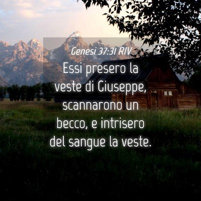 Picture 04 - Genesi 37:31 RIV - Essi presero la veste di Giuseppe, scannarono un - Bible Verse Picture