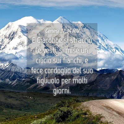Picture 04 - Genesi 37:34 RIV - E Giacobbe si stracciò le vesti, si mise un - Bible Verse Picture