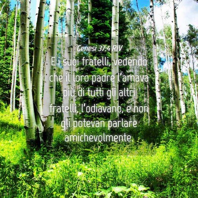 Picture 04 - Genesi 37:4 RIV - E i suoi fratelli, vedendo che il loro padre - Bible Verse Picture