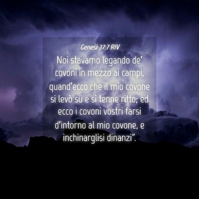 Picture 04 - Genesi 37:7 RIV - Noi stavamo legando de’ covoni in mezzo ai - Bible Verse Picture