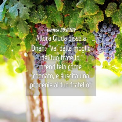Picture 04 - Genesi 38:8 RIV - Allora Giuda disse a Onan: “Va’ dalla moglie - Bible Verse Picture