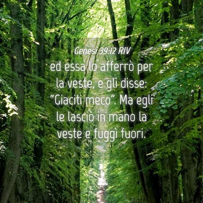 Picture 04 - Genesi 39:12 RIV - ed essa lo afferrò per la veste, e gli disse: - Bible Verse Picture
