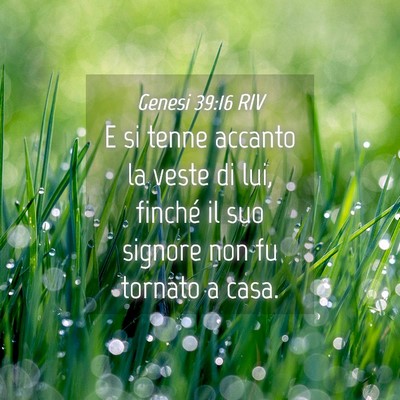 Picture 04 - Genesi 39:16 RIV - E si tenne accanto la veste di lui, finché il - Bible Verse Picture