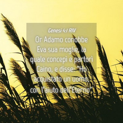 Picture 04 - Genesi 4:1 RIV - Or Adamo conobbe Eva sua moglie, la quale - Bible Verse Picture