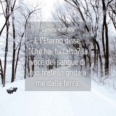 Picture 04 - Genesi 4:10 RIV - E l’Eterno disse: “Che hai tu fatto? la voce - Bible Verse Picture