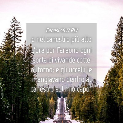 Picture 04 - Genesi 40:17 RIV - e nel canestro più alto c’era per Faraone ogni - Bible Verse Picture