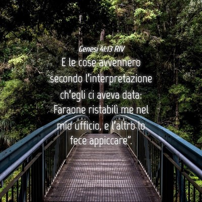 Picture 04 - Genesi 41:13 RIV - E le cose avvennero secondo l’interpretazione - Bible Verse Picture