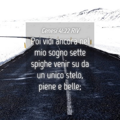 Picture 04 - Genesi 41:22 RIV - Poi vidi ancora nel mio sogno sette spighe venir - Bible Verse Picture