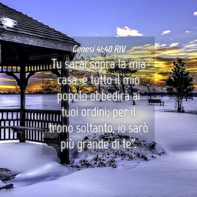 Picture 04 - Genesi 41:40 RIV - Tu sarai sopra la mia casa, e tutto il mio popolo - Bible Verse Picture