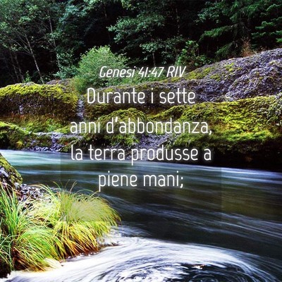 Picture 04 - Genesi 41:47 RIV - Durante i sette anni d’abbondanza, la terra - Bible Verse Picture