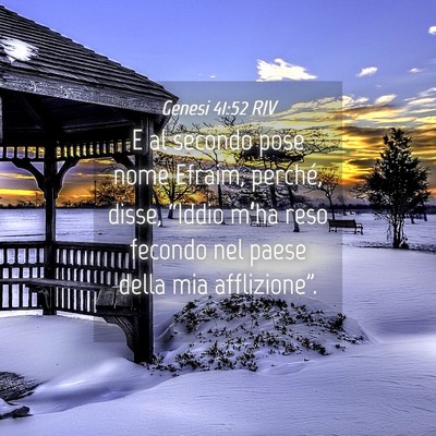 Picture 04 - Genesi 41:52 RIV - E al secondo pose nome Efraim, perché, disse, - Bible Verse Picture