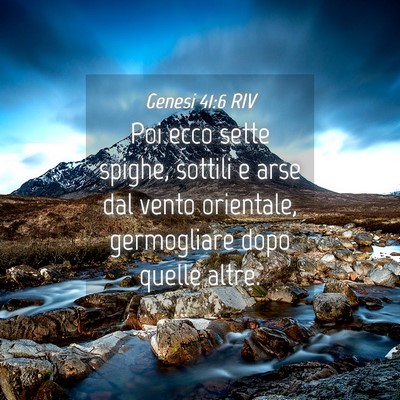 Picture 04 - Genesi 41:6 RIV - Poi ecco sette spighe, sottili e arse dal vento - Bible Verse Picture