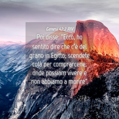 Picture 04 - Genesi 42:2 RIV - Poi disse: “Ecco, ho sentito dire che c’è - Bible Verse Picture
