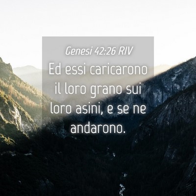 Picture 04 - Genesi 42:26 RIV - Ed essi caricarono il loro grano sui loro asini, - Bible Verse Picture