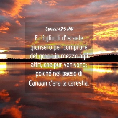Picture 04 - Genesi 42:5 RIV - E i figliuoli d’Israele giunsero per comprare - Bible Verse Picture