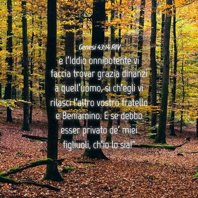 Picture 04 - Genesi 43:14 RIV - e l’Iddio onnipotente vi faccia trovar grazia - Bible Verse Picture