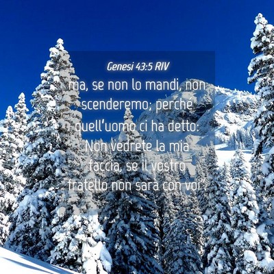 Picture 04 - Genesi 43:5 RIV - ma, se non lo mandi, non scenderemo; perché - Bible Verse Picture