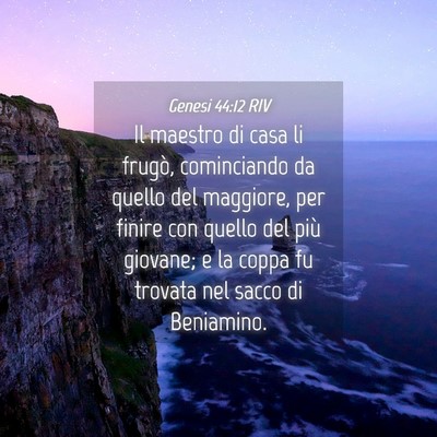 Picture 04 - Genesi 44:12 RIV - Il maestro di casa li frugò, cominciando da - Bible Verse Picture