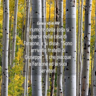 Picture 04 - Genesi 45:16 RIV - Il rumore della cosa si sparse nella casa di - Bible Verse Picture