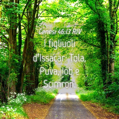 Picture 04 - Genesi 46:13 RIV - I figliuoli d’Issacar: Tola, Puva, Iob e - Bible Verse Picture