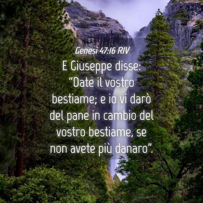 Picture 04 - Genesi 47:16 RIV - E Giuseppe disse: “Date il vostro bestiame; e - Bible Verse Picture
