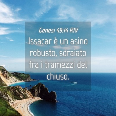 Picture 04 - Genesi 49:14 RIV - Issacar è un asino robusto, sdraiato fra i - Bible Verse Picture