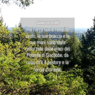Picture 04 - Genesi 49:24 RIV - ma l’arco suo è rimasto saldo; le sue braccia - Bible Verse Picture