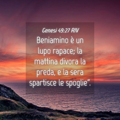 Picture 04 - Genesi 49:27 RIV - Beniamino è un lupo rapace; la mattina divora la - Bible Verse Picture
