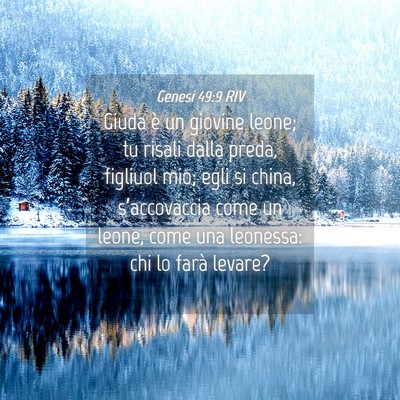 Picture 04 - Genesi 49:9 RIV - Giuda è un giovine leone; tu risali dalla preda, - Bible Verse Picture
