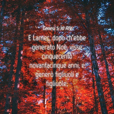 Picture 04 - Genesi 5:30 RIV - E Lamec, dopo ch’ebbe generato Noè, visse - Bible Verse Picture
