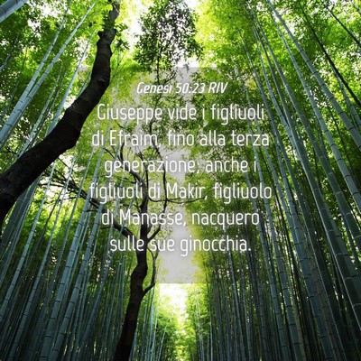 Picture 04 - Genesi 50:23 RIV - Giuseppe vide i figliuoli di Efraim, fino alla - Bible Verse Picture