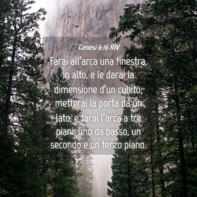 Picture 04 - Genesi 6:16 RIV - Farai all’arca una finestra, in alto, e le - Bible Verse Picture