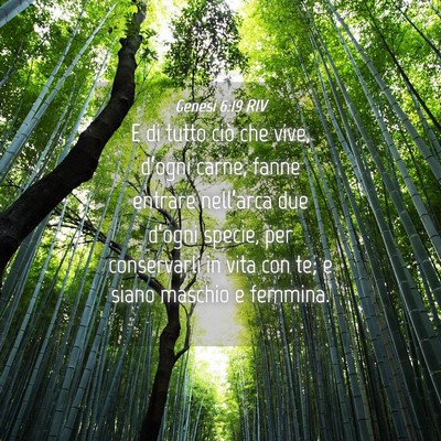 Picture 04 - Genesi 6:19 RIV - E di tutto ciò che vive, d’ogni carne, fanne - Bible Verse Picture