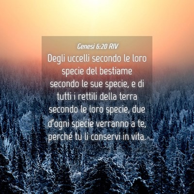Picture 04 - Genesi 6:20 RIV - Degli uccelli secondo le loro specie del bestiame - Bible Verse Picture