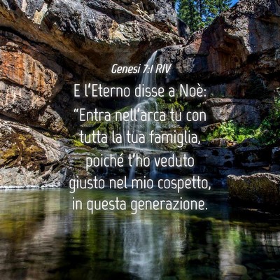 Picture 04 - Genesi 7:1 RIV - E l’Eterno disse a Noè: “Entra nell’arca - Bible Verse Picture