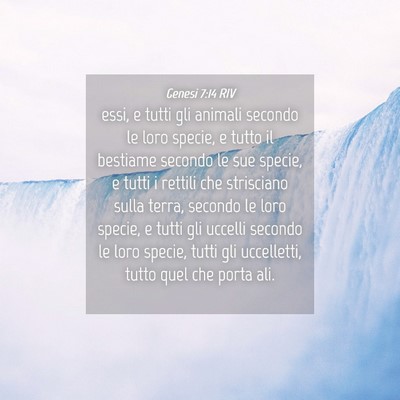 Picture 04 - Genesi 7:14 RIV - essi, e tutti gli animali secondo le loro specie, - Bible Verse Picture