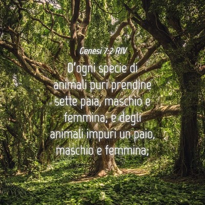 Picture 04 - Genesi 7:2 RIV - D’ogni specie di animali puri prendine sette - Bible Verse Picture