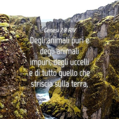 Picture 04 - Genesi 7:8 RIV - Degli animali puri e degli animali impuri, degli - Bible Verse Picture